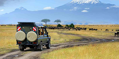 2 Days 1 Night Amboseli Safari Package