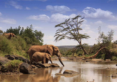 full-glance-luxury-safari-for-11-days-in-kenya