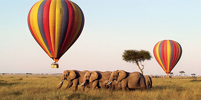2 Days 1 Night Masai Mara Safari Package